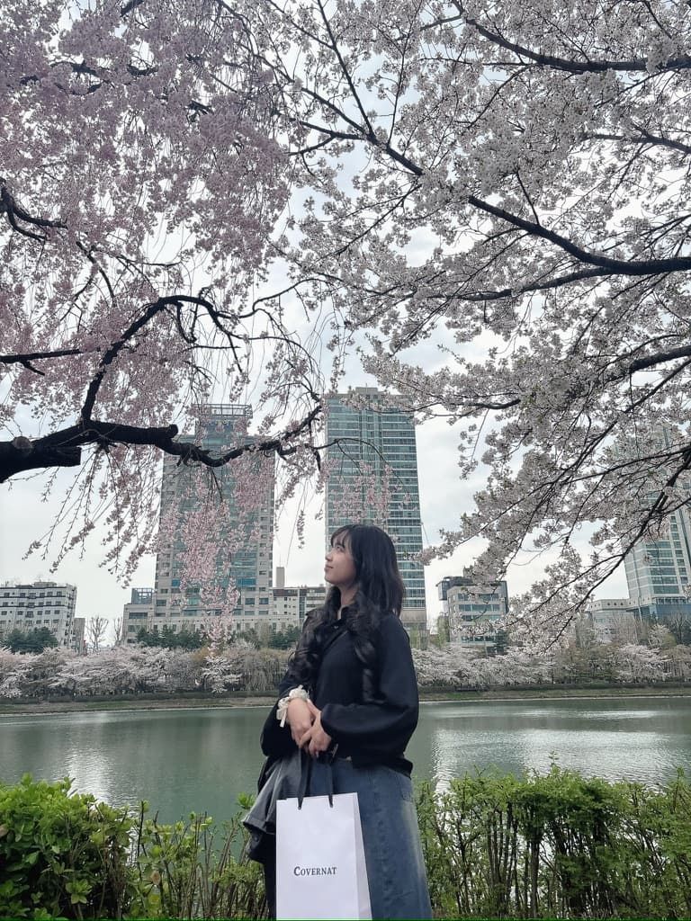 Seoul in April 2025: Weather, Cherry Blossoms, and a 2NE1 Concert