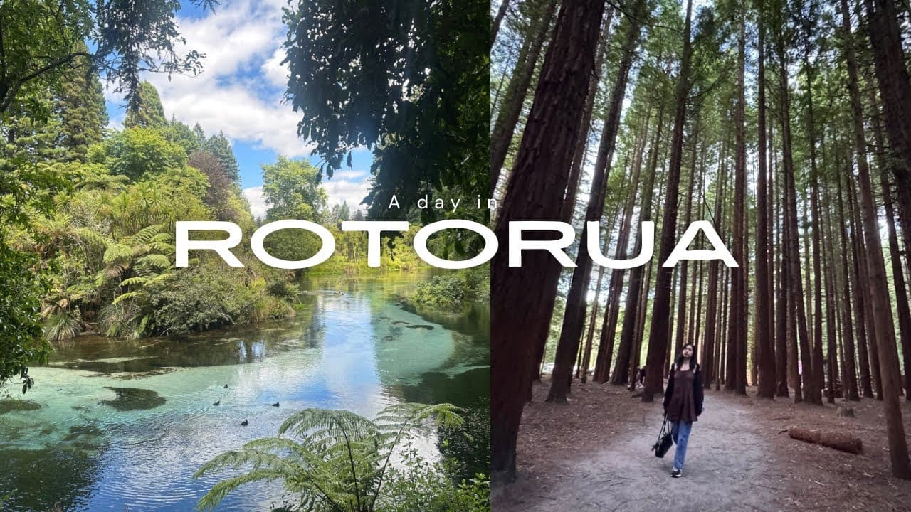 Rotorua day trip, New Zealand 2025 — Blue Lake, Hamurana Springs, Redwoods Treewalk